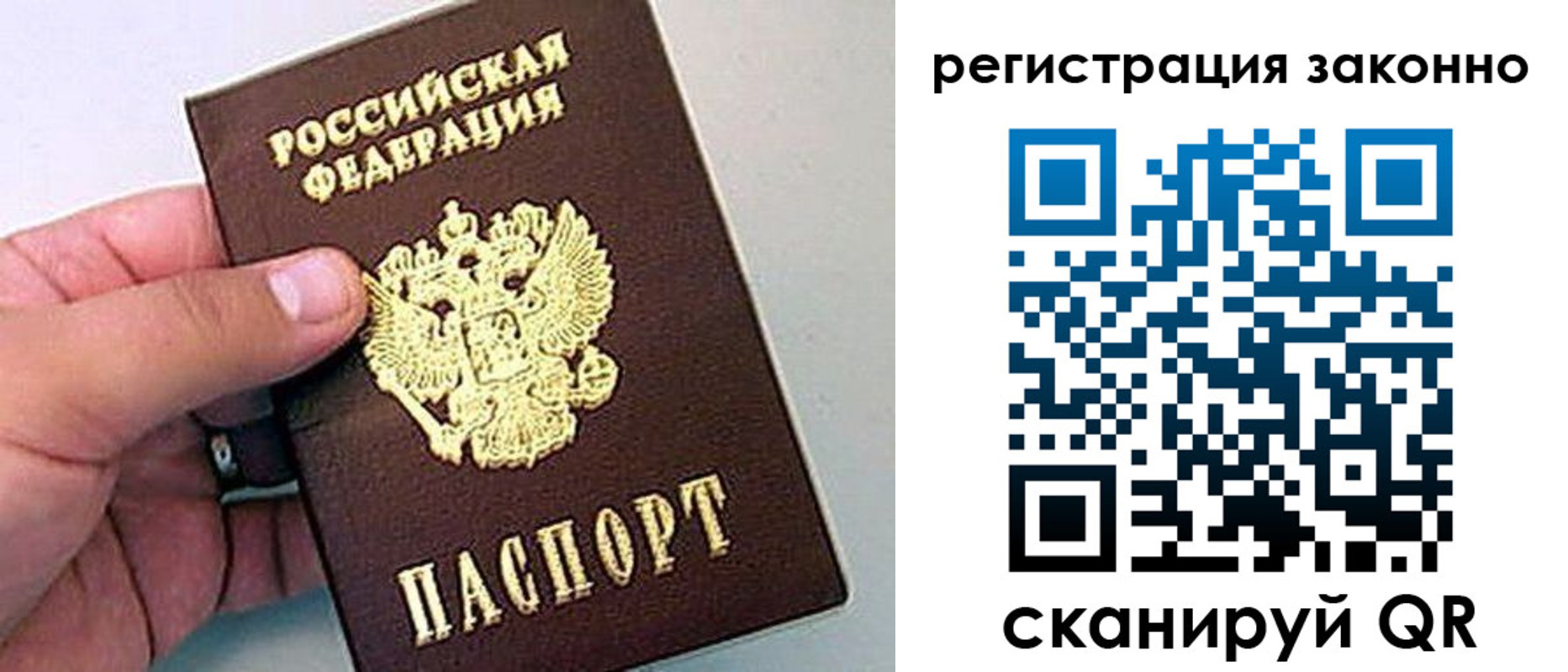 временная регистрация поиск в Электрогорске